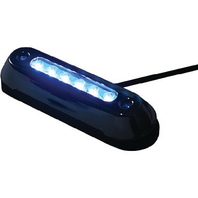 LED SS BEZEL OVAL LIGHT UW BLU