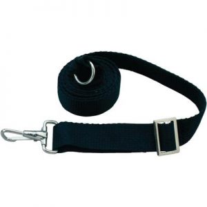 ADJ TIEDOWN STRAP 6′ BLK 2PK