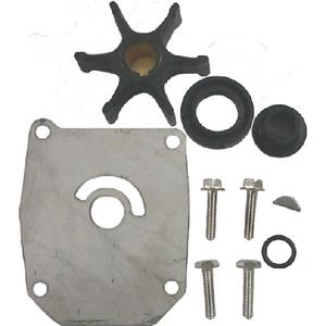 WATER PUMP KIT  OMC 384956