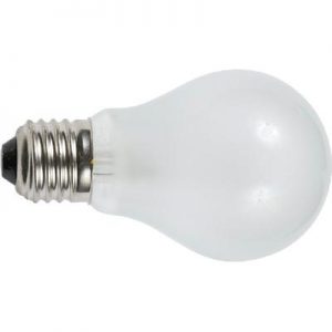 24V 50W MEDIUM SCREW BULB (2)