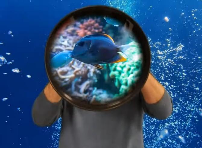 Aquascope Jointed Under Water Viewer